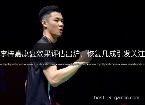 李梓嘉康复效果评估出炉，恢复几成引发关注